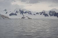 
DSC00085
